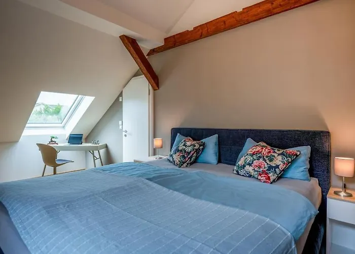 Heinrich Und Rosa In Saale